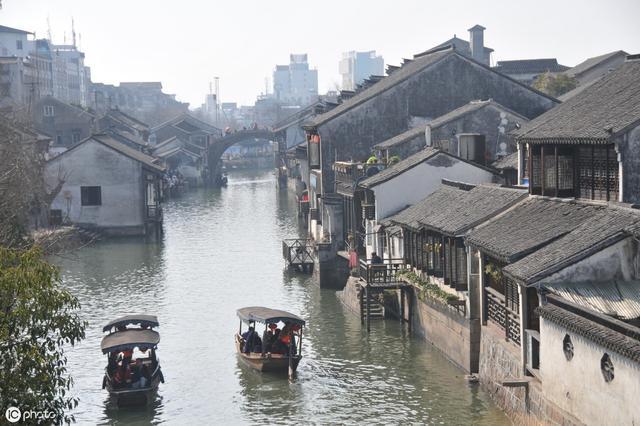 动物帮帮忙保卫家园